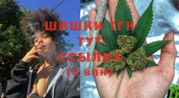 хмурый Козловка