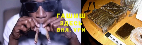 мдпв Козельск