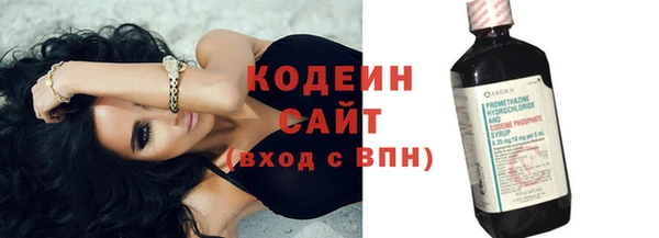мдпв Козельск