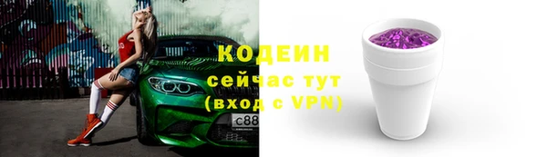 мдпв Козельск