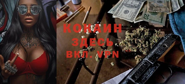 хмурый Козловка