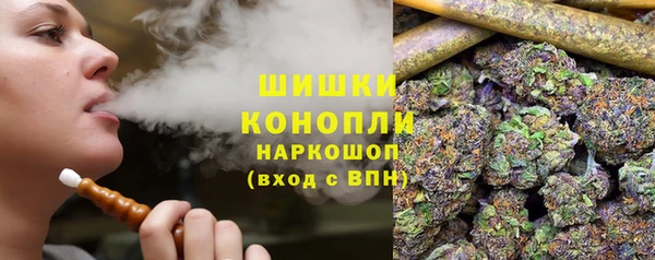 мдпв Козельск