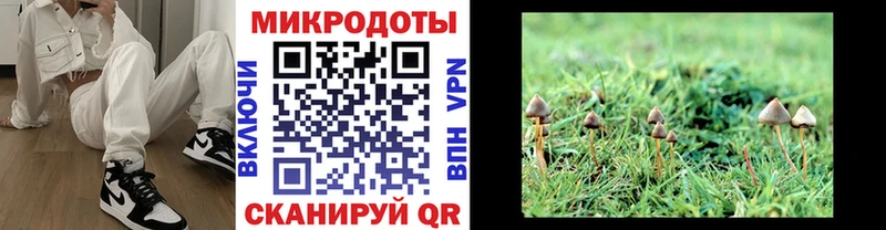 Псилоцибиновые грибы ЛСД  Элиста 