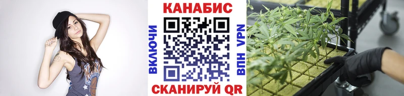 Бошки марихуана конопля  Элиста 